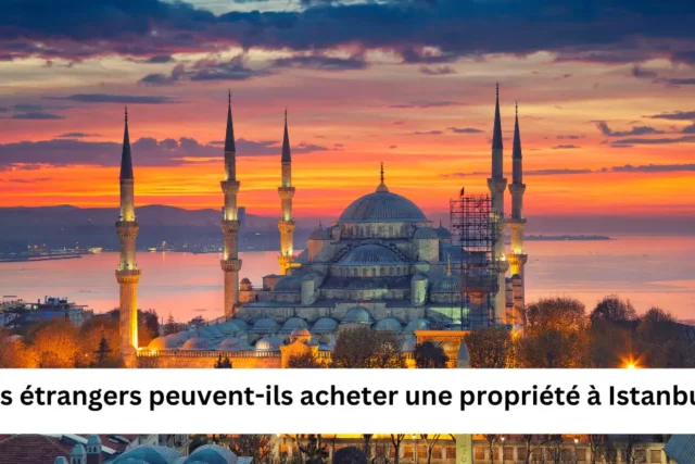 acheter une propriété à Istanbul